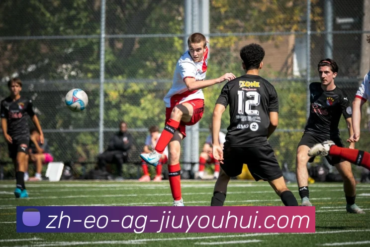 AG九游会官网平台生态图